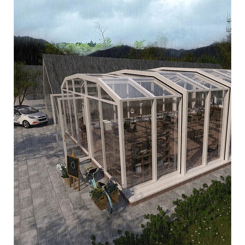 D-TOP green house metal frame glass vertical tower sunroom conservatory For Swimming Pool Sun sunroom glass house Of House