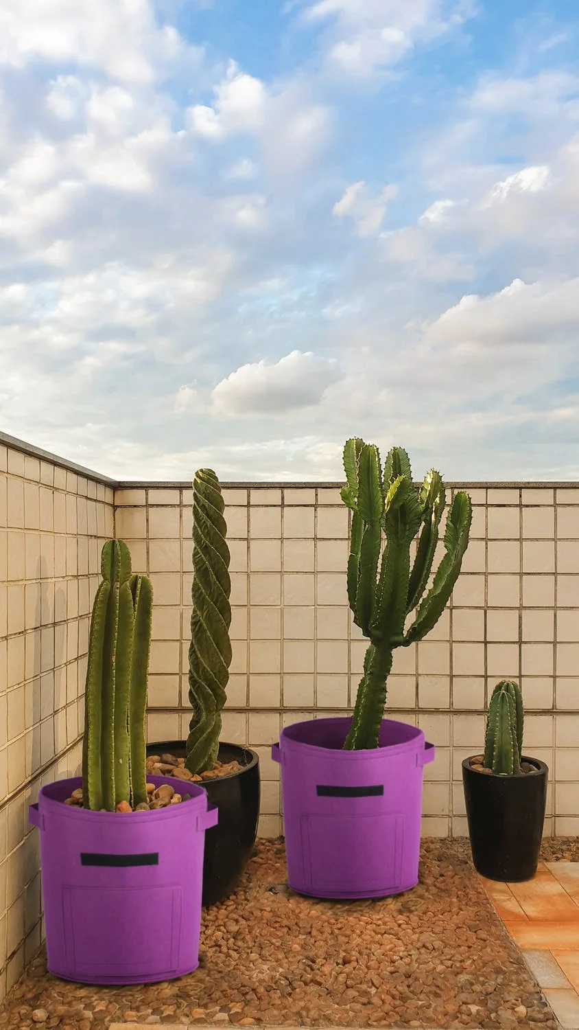 9 Gallon Growing Bag Fabric Pot High-Quality Felt Soft Garden Pot Potato Plant Bag with Flap Window