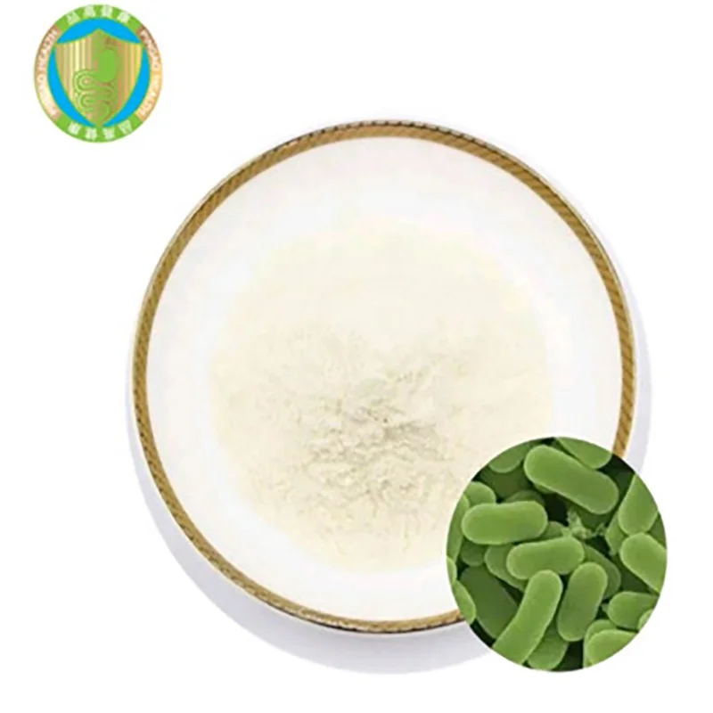 High Quality Active Healthcare Supplement Whiten Skin Lactobacillus Rhamnosus Probiotic Powder