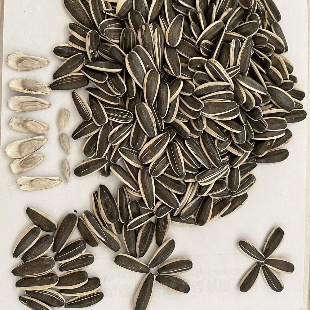 Supply best quality chinese black sunflower seeds large size sunflower seeds 363 export with per ton