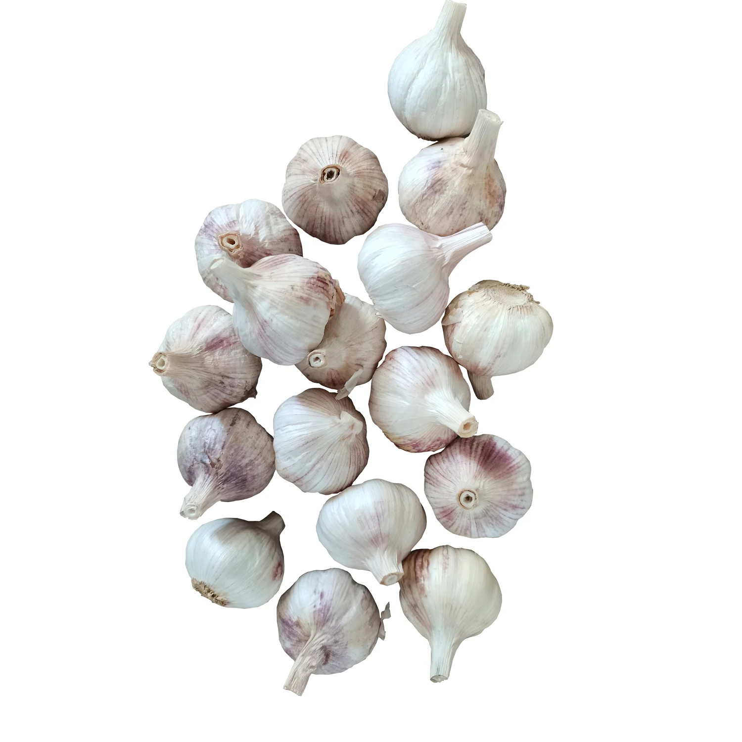 Свежий чеснок, новый урожай обычного белого чеснока, оптовая продажа по всему миру