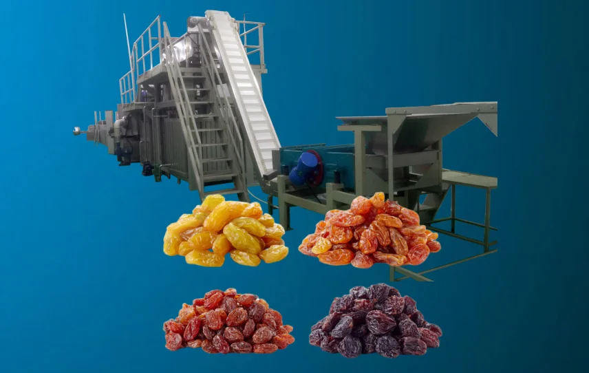 Full automatic 2000 kg raisin polishing machine raisin process line for food handling