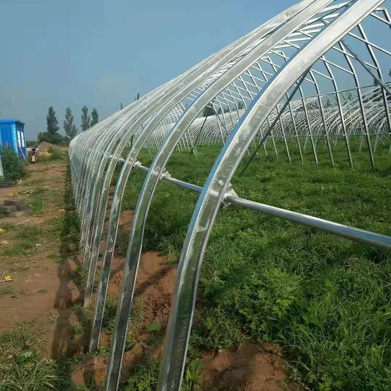 High Quality Steel Pipe Greenhouse Material Galvanized Steel Pipe
