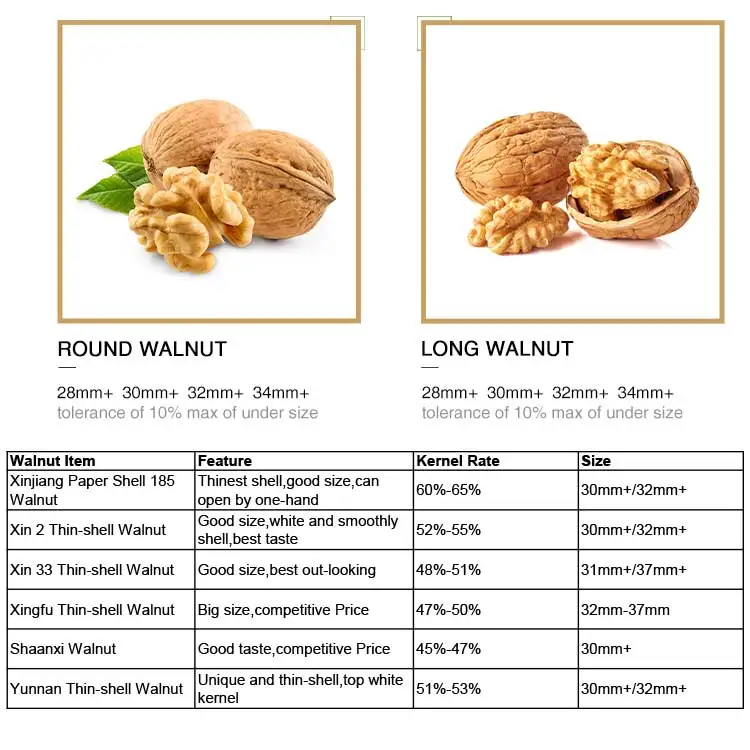 Hot selling high quality natural walnuts in shell in bulk from with competitive price for export walnuts for sale