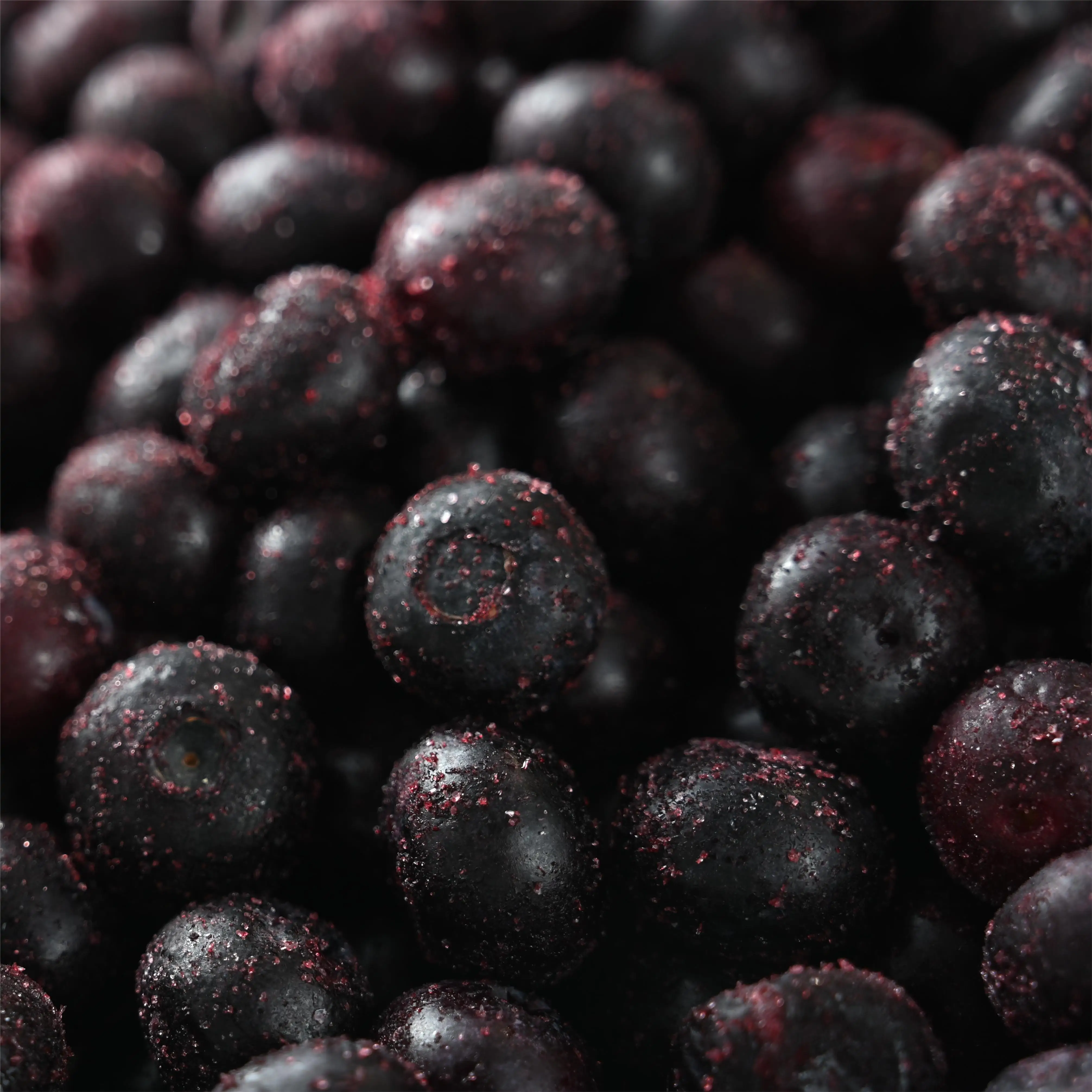 IQF factory direct export frozen blueberry wholesale frozen blueberry Wholesale Price 1kg Frozen Blueberry with BRC A