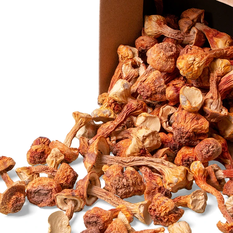
China Factory Price Dried Agaricus Blazei 