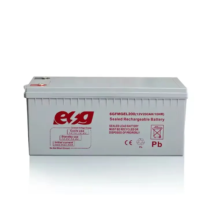 ESG Customization 12v 100ah 200ah 300ah Lithium Battery Replace Lead-acid Batteries Camping RV 12.8v 100ah LIFEPO4 battery