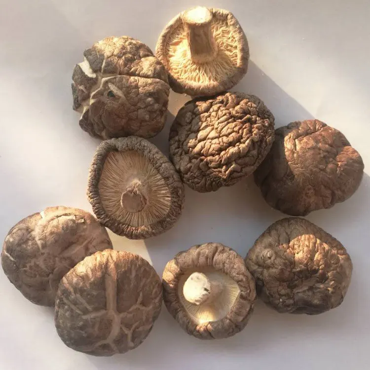 Healthy Food Dry Vegetables Bulk Dried Shiitake Mushroom