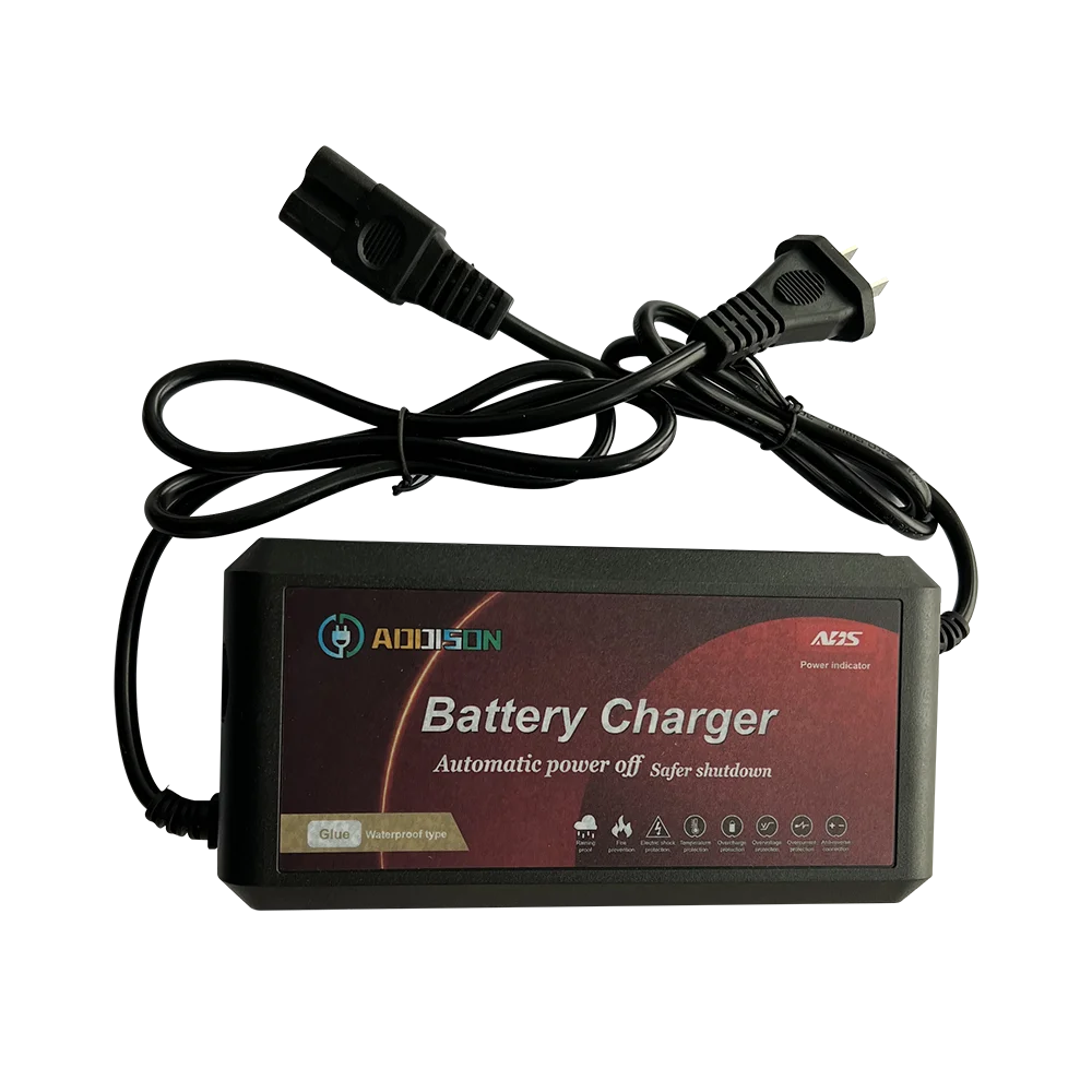 Factory customized Waterproof charger 24V 48V 3A 5A Lead acid Lithium Battery Charger for Electric Ebike Charger