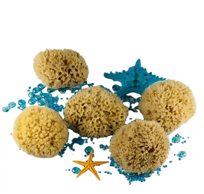Lonx Sea Foam Sponge Organic Customized Packaging Natural Sea Sponge Wholesale Greece Natur Schwamm