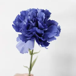 Artificial Real Touch Carnation for Party Hotel Wedding Table Decorative Flowers