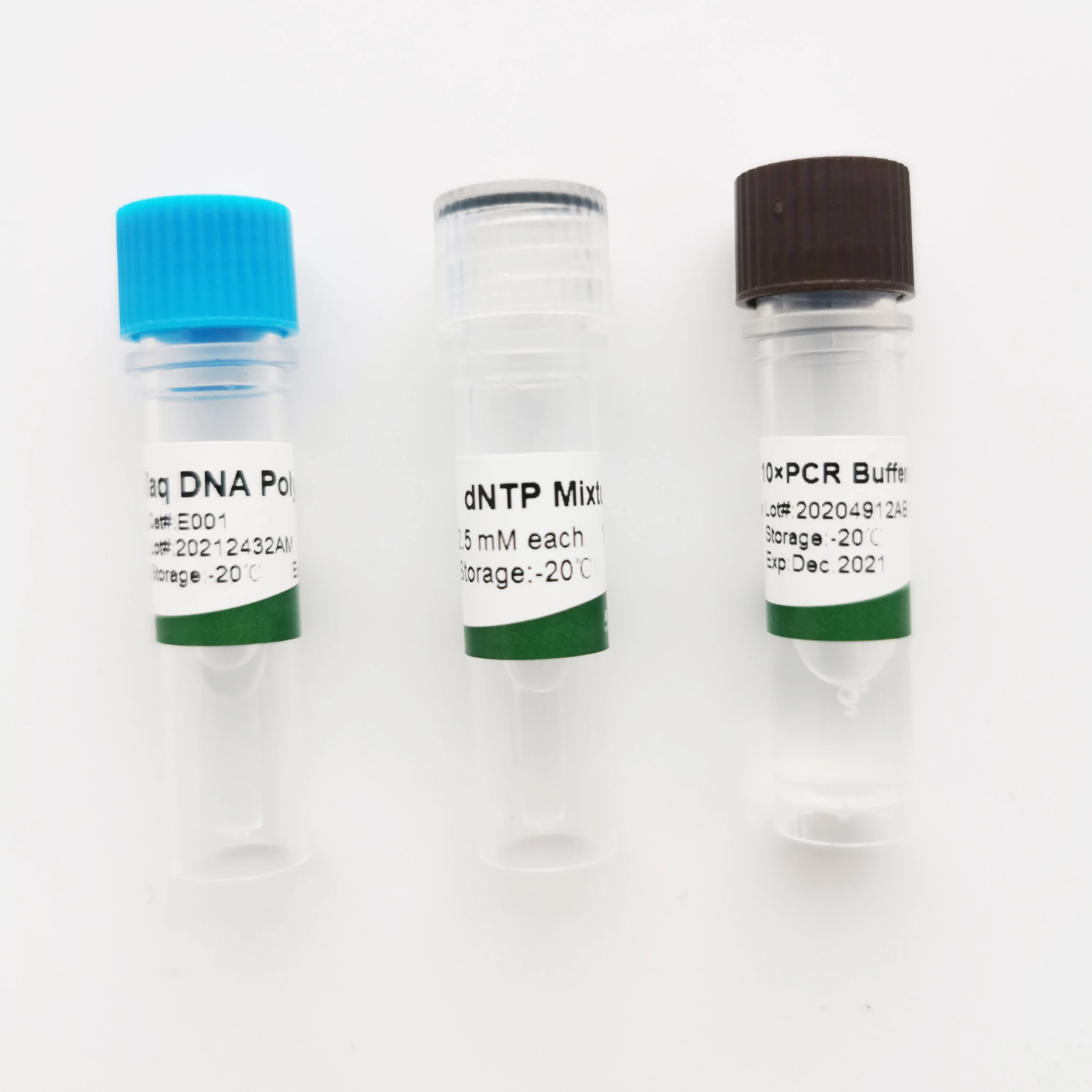 Attractive price stable product quality dna polymerase sanshibio taq dna polymerase(with Mg2+)