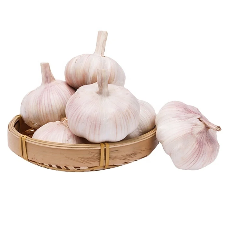 
2021 new crop vacuum packed peeled garlic big round garlic 