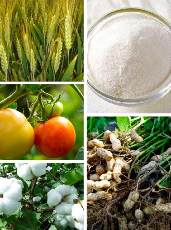 PGR NAA Naphthalene Acetic Acid Rapid Rooting Powder NNA  plant rooting hormone