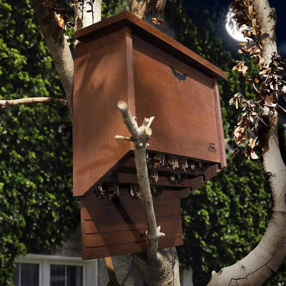 Custom Logo Different Sizes Bat Box Shelter Wooden Bat House For Garden Outdoors Bat House Shelter Clean Your Backyard