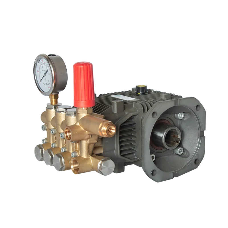 19Lpm 100Bar 1450psi плунжерный водяной насос высокого