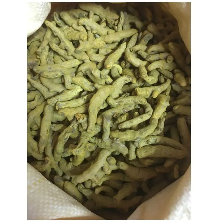 Turmeric Finger Chola Superfoods Money Saving Turmeric Finger Cost Effective CSF/TUFI/2022-2023 Turmeric Finger