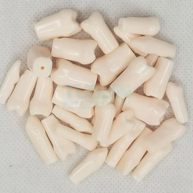 Dental Resin Human 32 Teeth Model Plastic Tooth Teaching Model Dental Refills for Dentist Student