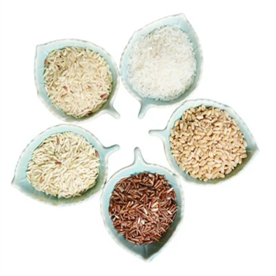 Food Grade Wholesale Health Supplement Vegan Brown Rice Isolate Protein 80% Powder In Factory Price