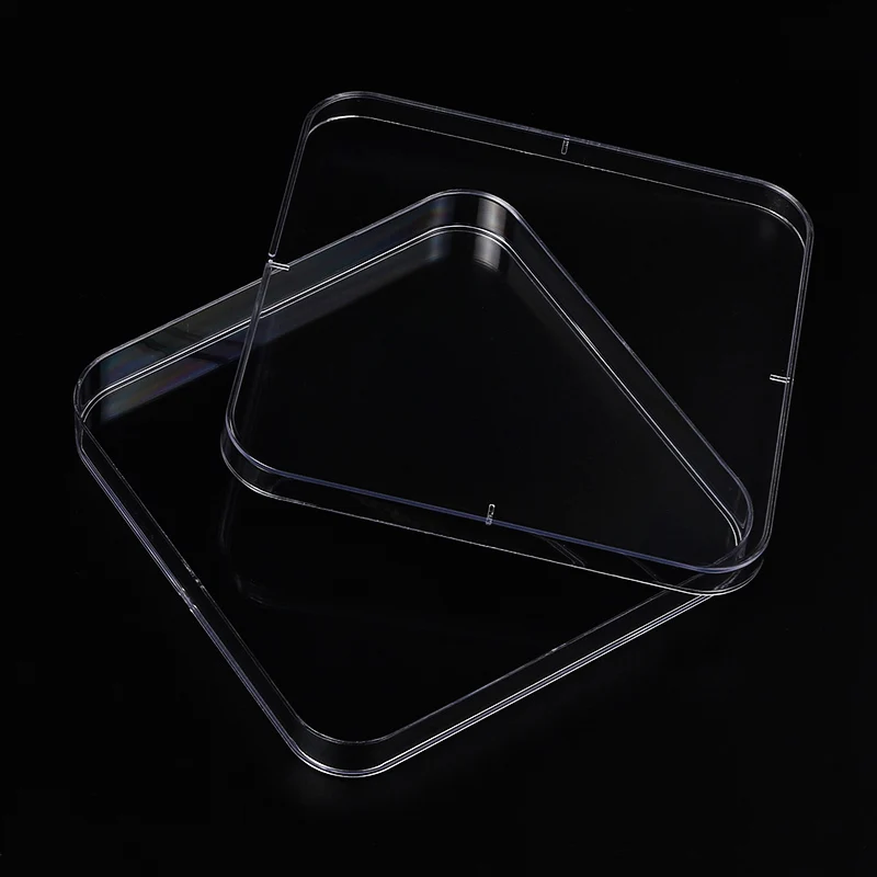 130mm square petri plastic cell culture petri dish