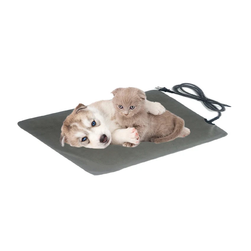 Dog Mat Ultra Absorbent Soft Floor Mat, Pet Bed Mat/Rug for Dogs Bathroom Non-Slip Doormat
