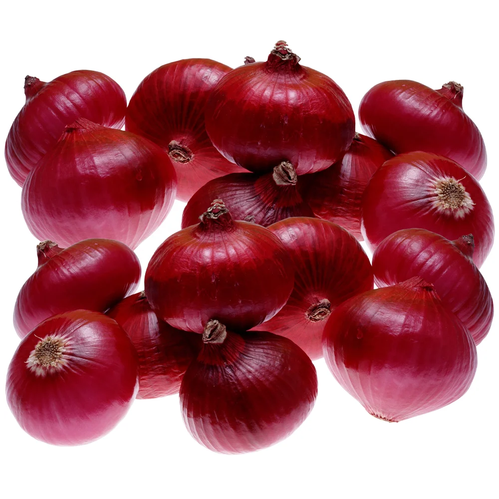 onion not onion seeds and onion red with best price for export