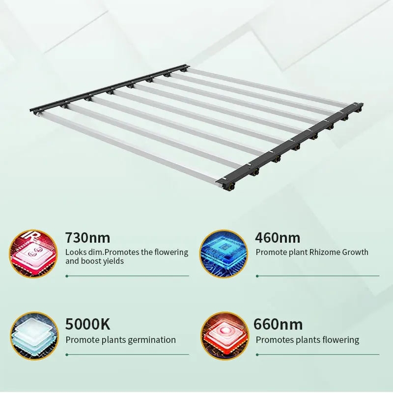 Full Spectrum LED Plant Lights for Indoor Plants Micro Greens  medical seedlings Bloom LED Grow Lights