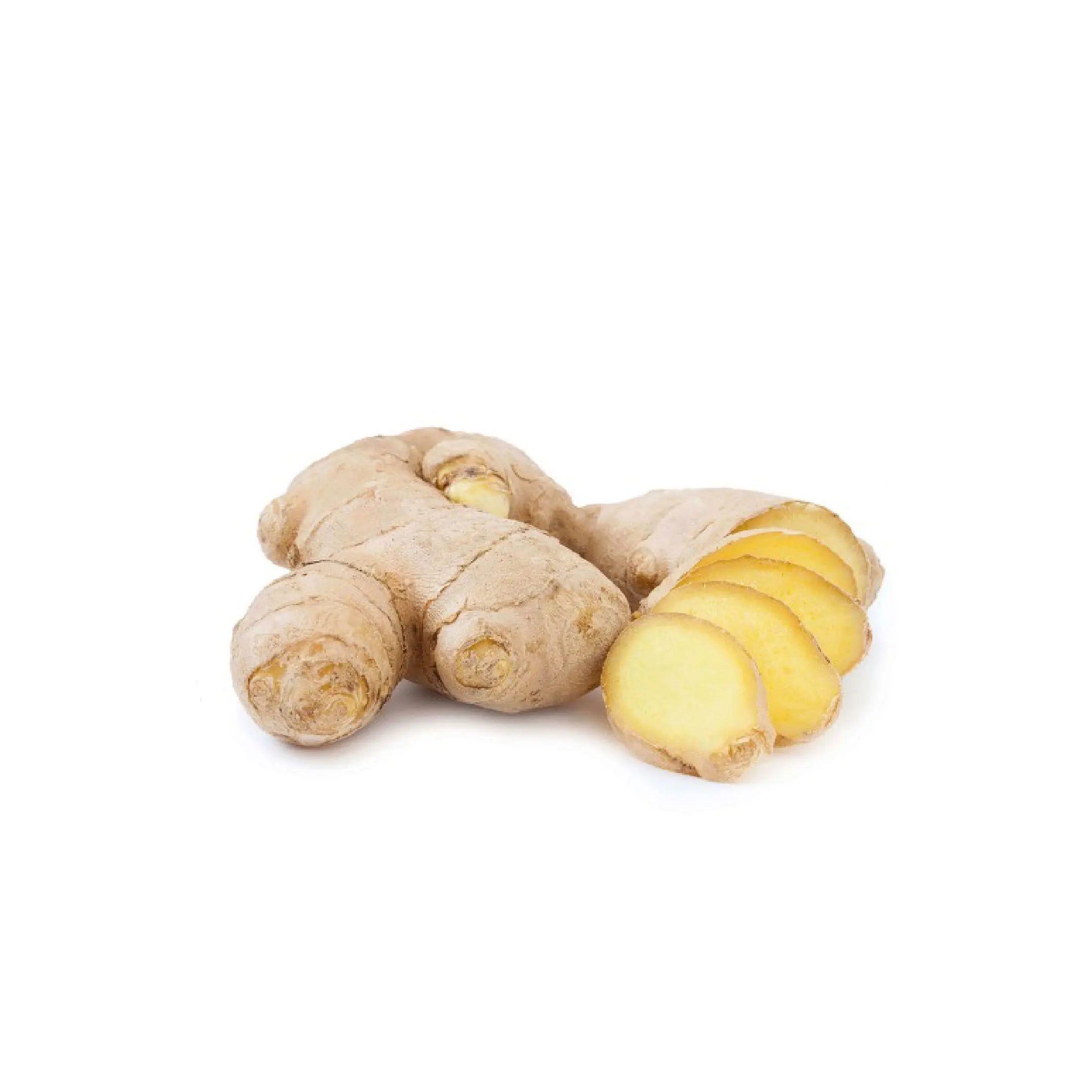 Young Ginger Fresh Vegetable Top Quality Hot Selling Cheap Price Low MOQ Good Brand Wholesaler Custom Logo Package