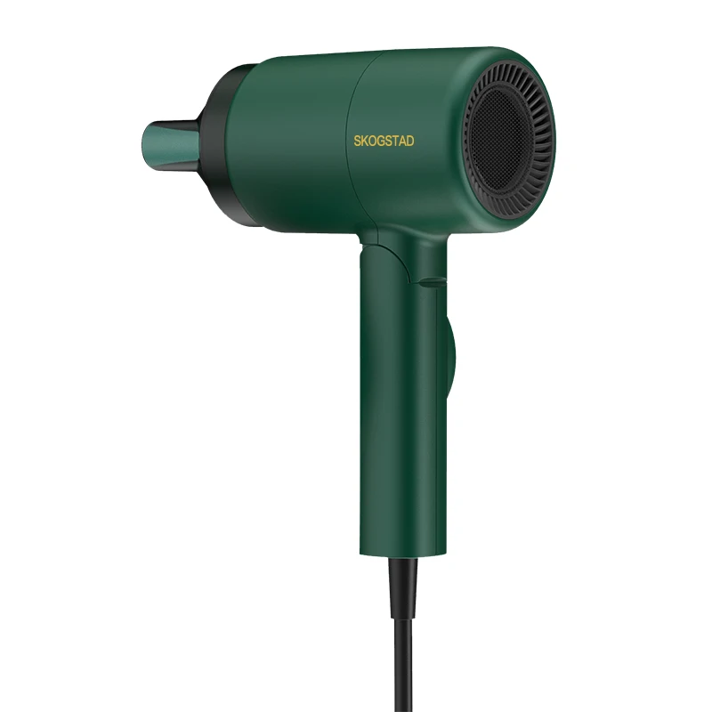 Рекламный подарок, 1200 Вт, сильный ветер, горячий холодный ветер, ионный воздуходувка, электрический фен для продажи