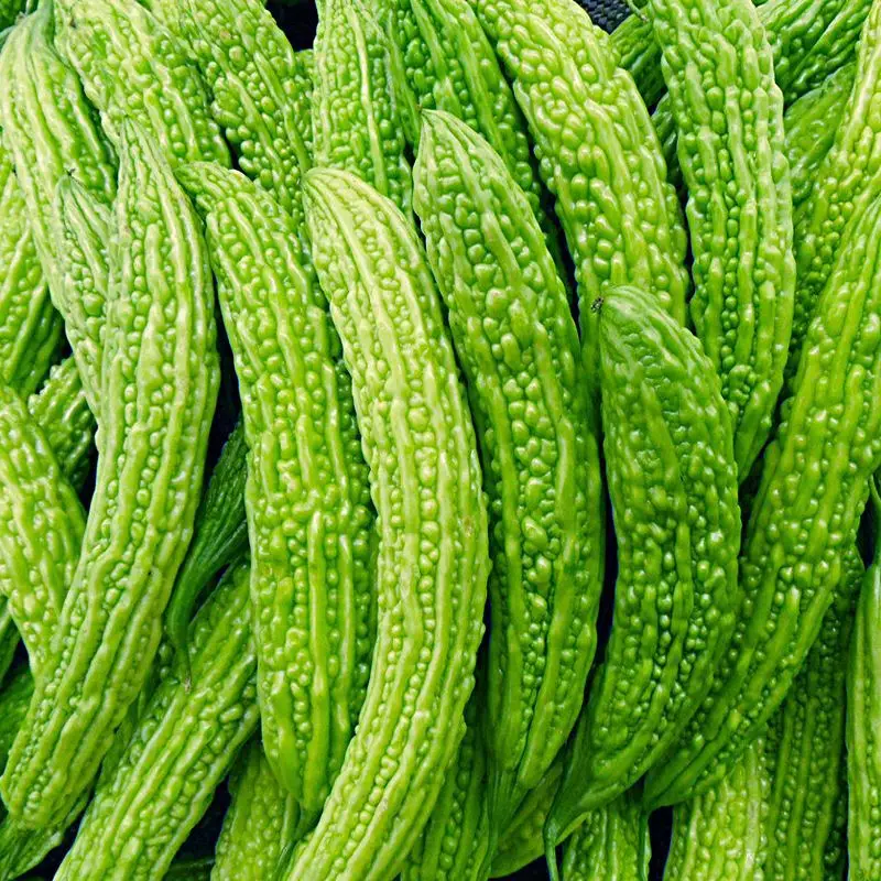 
Manufacturers sell free samples of bitter melon extract as raw materials for weight loss 