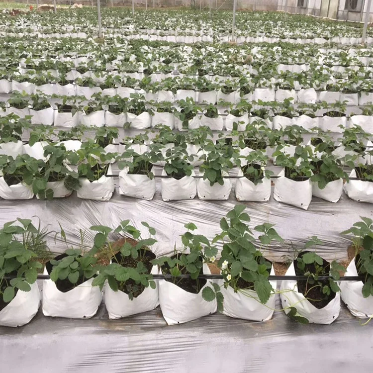 Hydroponics Plastic PE Poly Grow Bag with Bottom Hole Plant Pot Vegetables Nursery Bags Home Garden Accessory