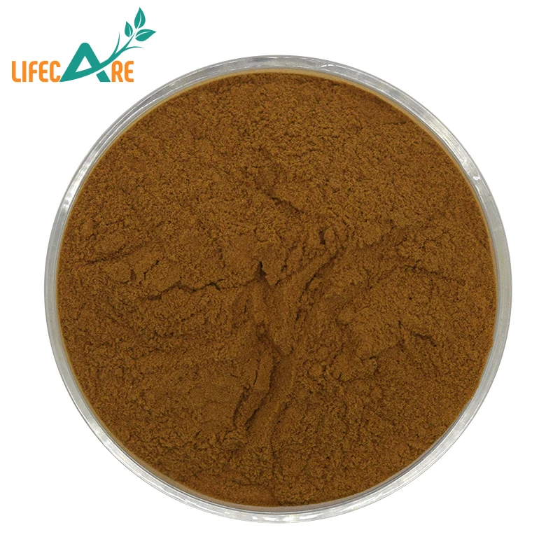 Lifecare Wholesale Rhubarb Powder Rhubarb Extract for Cosmetic Use