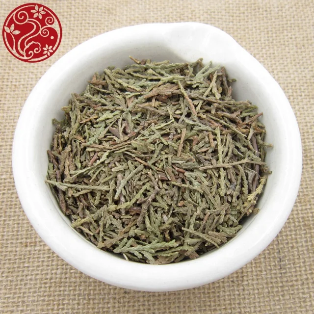 
Cacumen Et Folium Biotae Ce Bai Ye chinese traditional herbal tea 