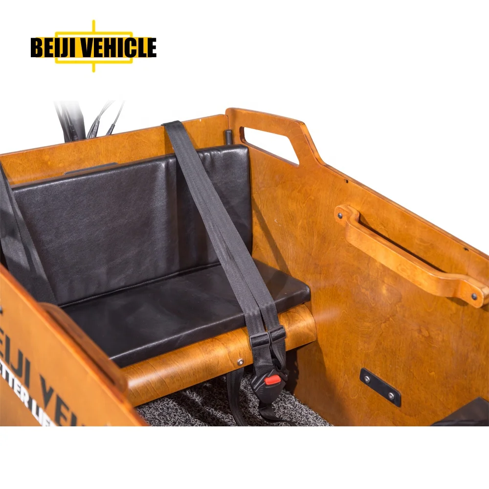 Electric Trikes Cabine Cargo Bike Motorized 3 Wheel Tricycles