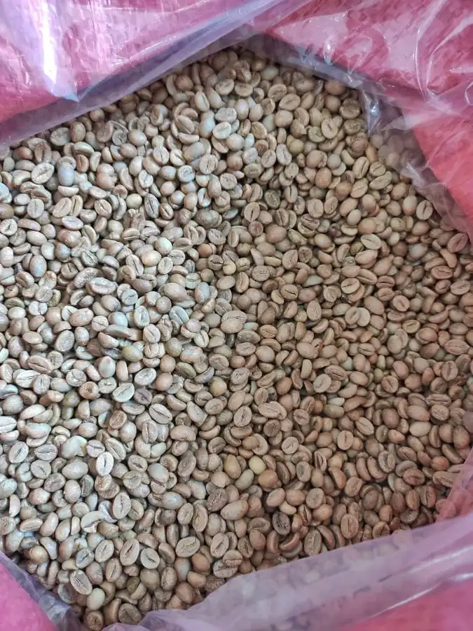 
Best Quality for Export Robusta Coffee Bean Vietnam Wholesales Price Unroasted Robusta coffee beans 