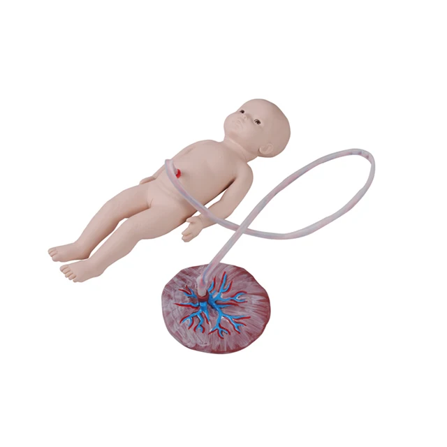 Umbilical Cord Nursing Simulator