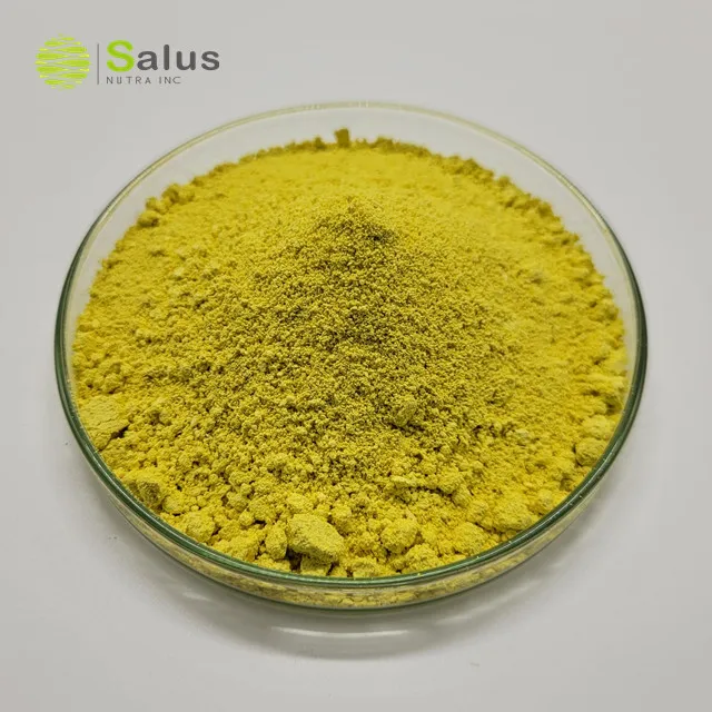 Best Price Pure Kaempferol 98%