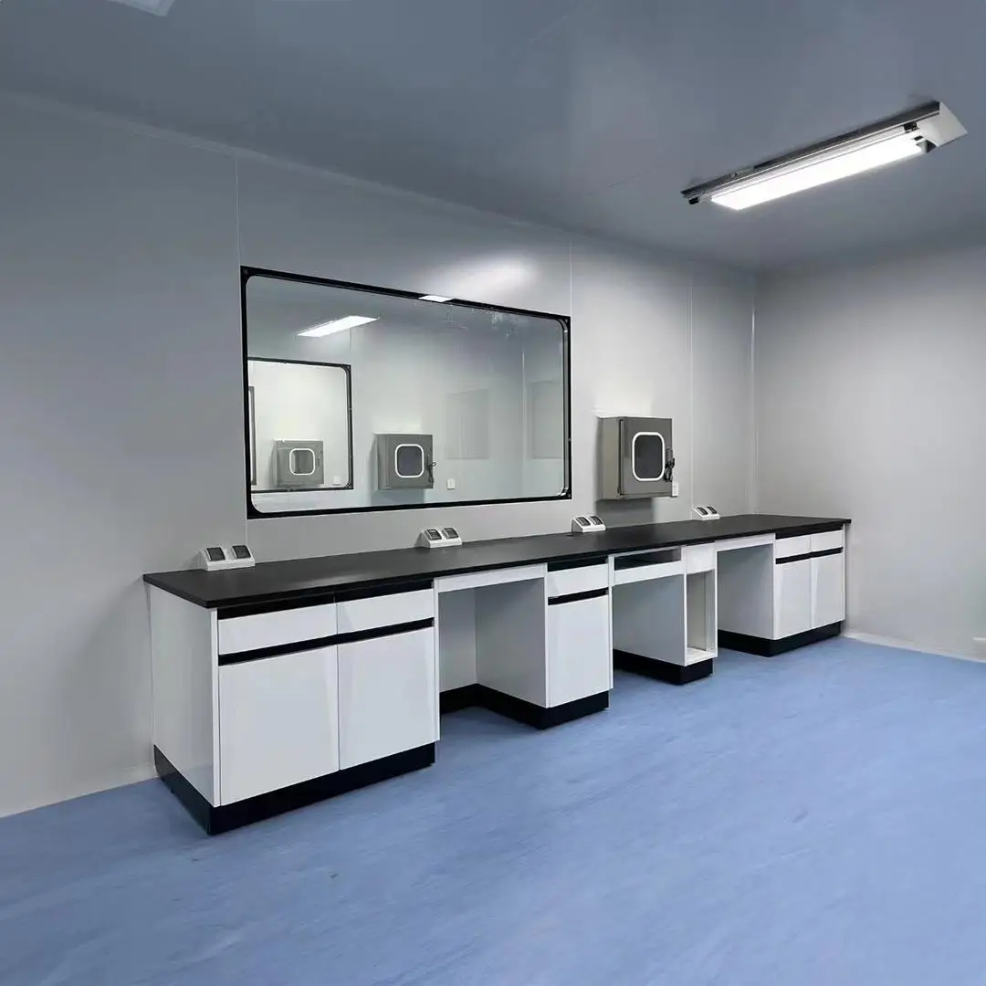 Steel Wood Physics Lab Furniture Chemistry Medical Lab Furniture Customized Laboratory Workbench