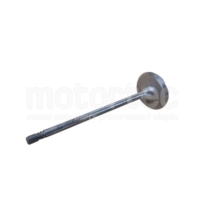 10227708 Car Auto Spare Parts Intake Valve for MAXUS G10 Auto Parts