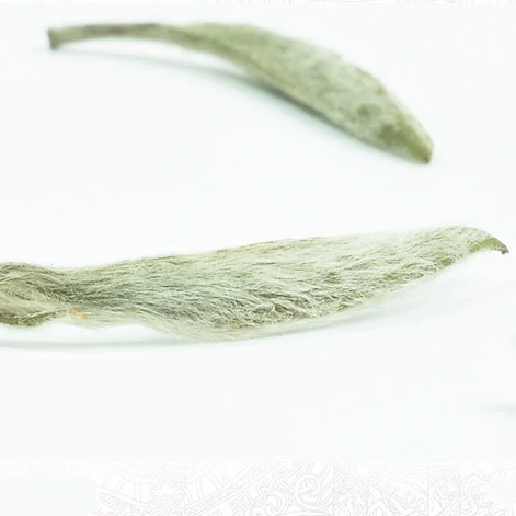
Organic Spring Loose Leaf Nonpareil High Mountain Silver Needle Bai Hao Yin Zhen White Tea From Fuding China 