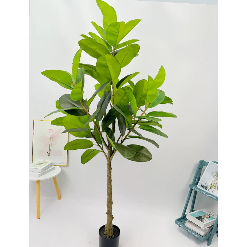 Simulated Indian Banyan Rubber Banyan Potted White Edged Rubber Banyan Bonsai Tree