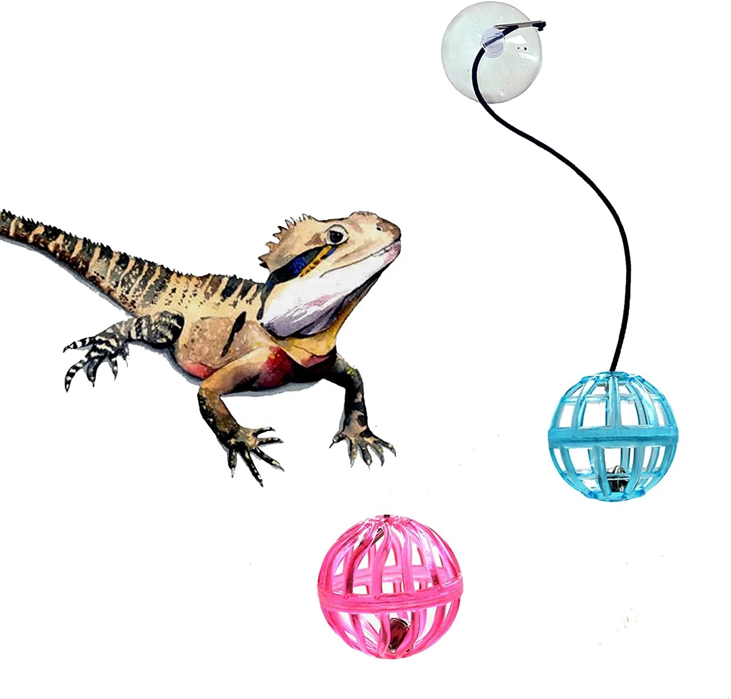 Reptile Lizard Toy Ball Bearded Dragon Lizard Gecko Small Pet Animals pet chew toys With Suction Cup and Rope