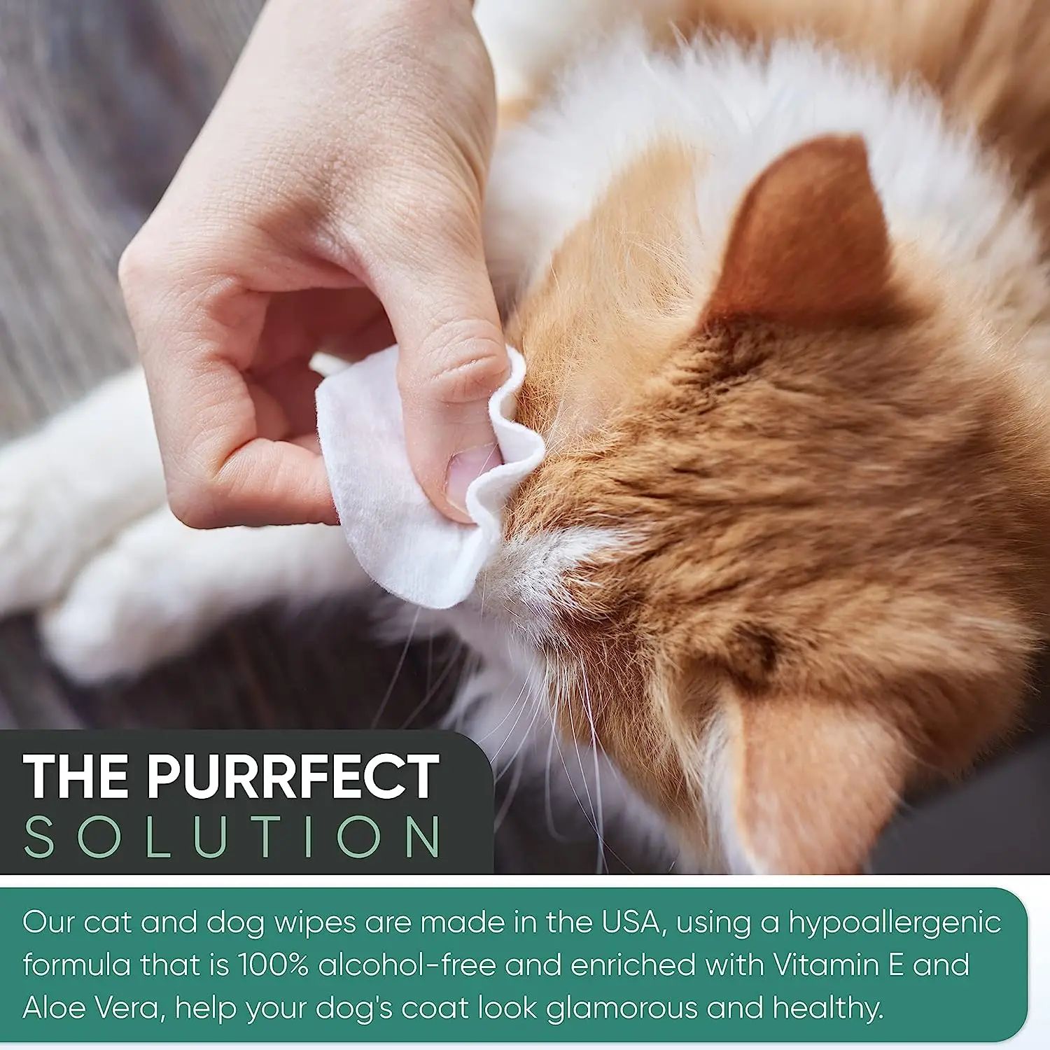 Pet Wipes Cat Grooming Puppy Wipes Dog Body Cleaning Bath Stain Odor Remover