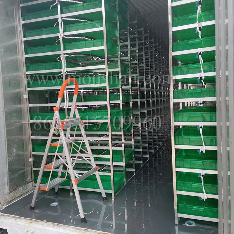 Container Farm Hydroponic Forage Sprout Chamber For Cow