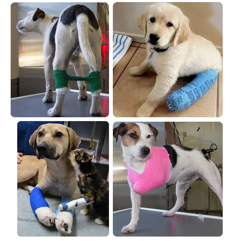 Nonwoven Elastic Self Adhesive Horse Care Products Colored Hoof Leg Vet Wrap Horse leg Cohesive Bandage