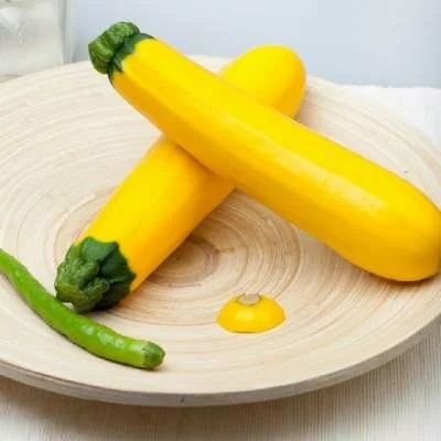 Good resistance high yield vegetable seeds hybrid f1 squash seeds