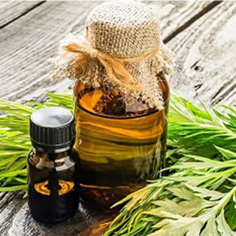 Bulk Wholesale 100% Pure Natural Mugwort Essential Oil/Mugwort Oil Essential 100% Pure/Bulk Mugwort Oil Price
