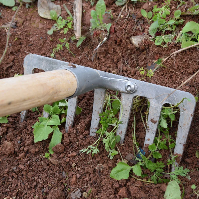 All-Steel Rustproof Garden Rake Large Leaf Scoops and Hand Rake Sand Scraper Tools with Wooden Handle