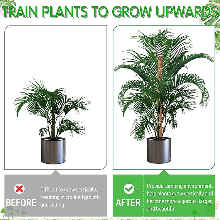 Natural 24 Inch Stakes Totem Forest Sphagnum  Plant Moss Poles for Climbing Plants Support