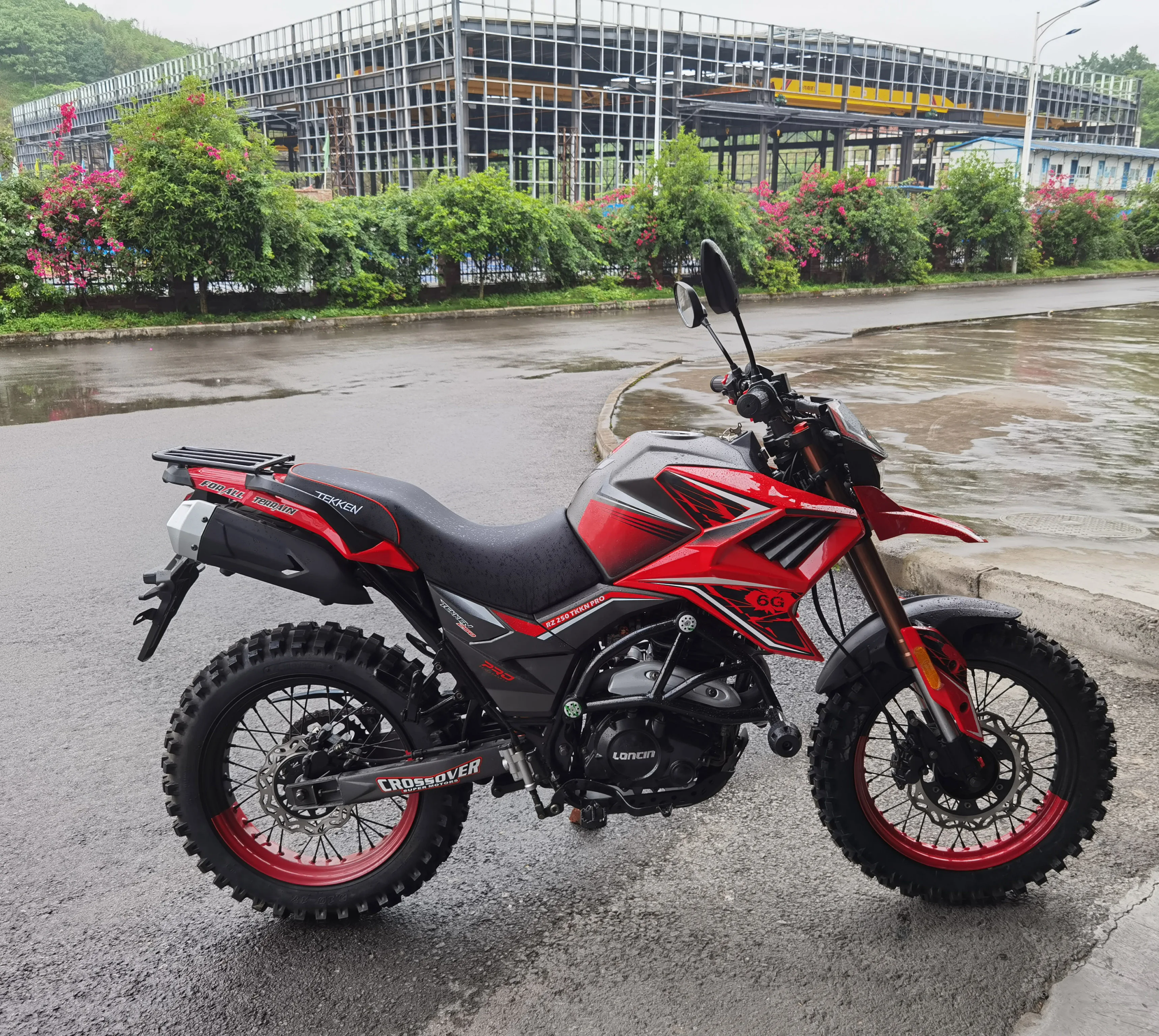 MOTORCYCLE FUEGO TEKKEN250 No.2205091